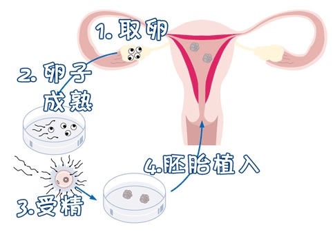 温馨医疗环境